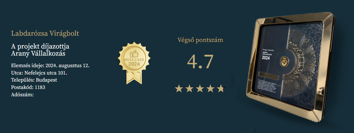 Arany Vállalkozás logo Arany Vállalkozás logo