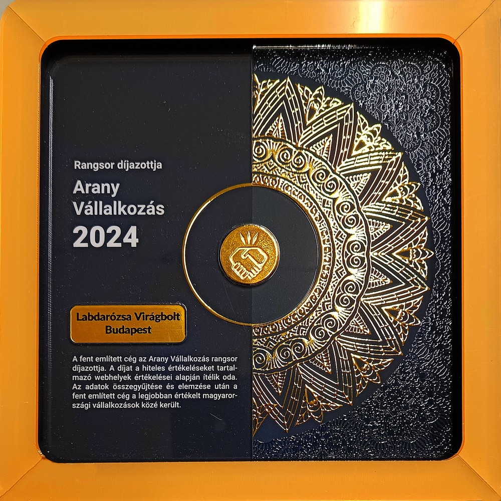 Arany Vállalkozás dij