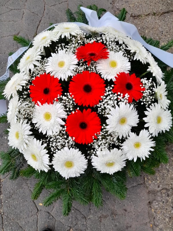 Domb Koszorú